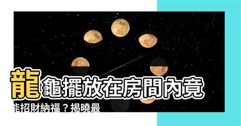 龍龜擺放臥室|龍龜可放房間嗎？風水大師公開擺放技巧，教你消災擋煞招好運！